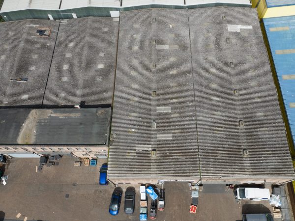 StraightBarking existing