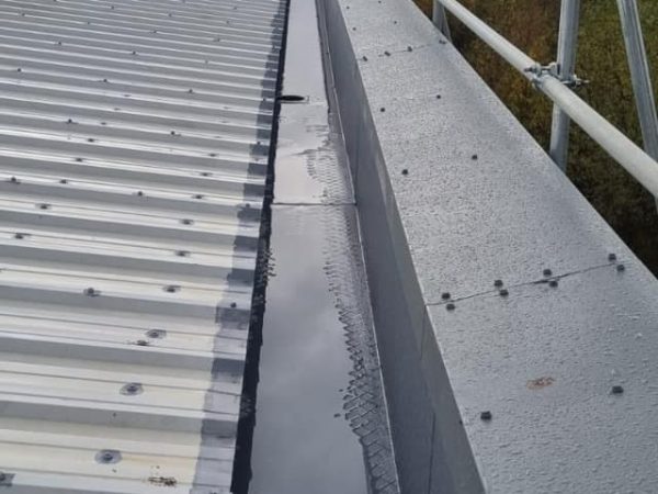 406034635_356192223669150_253323872391725579_n